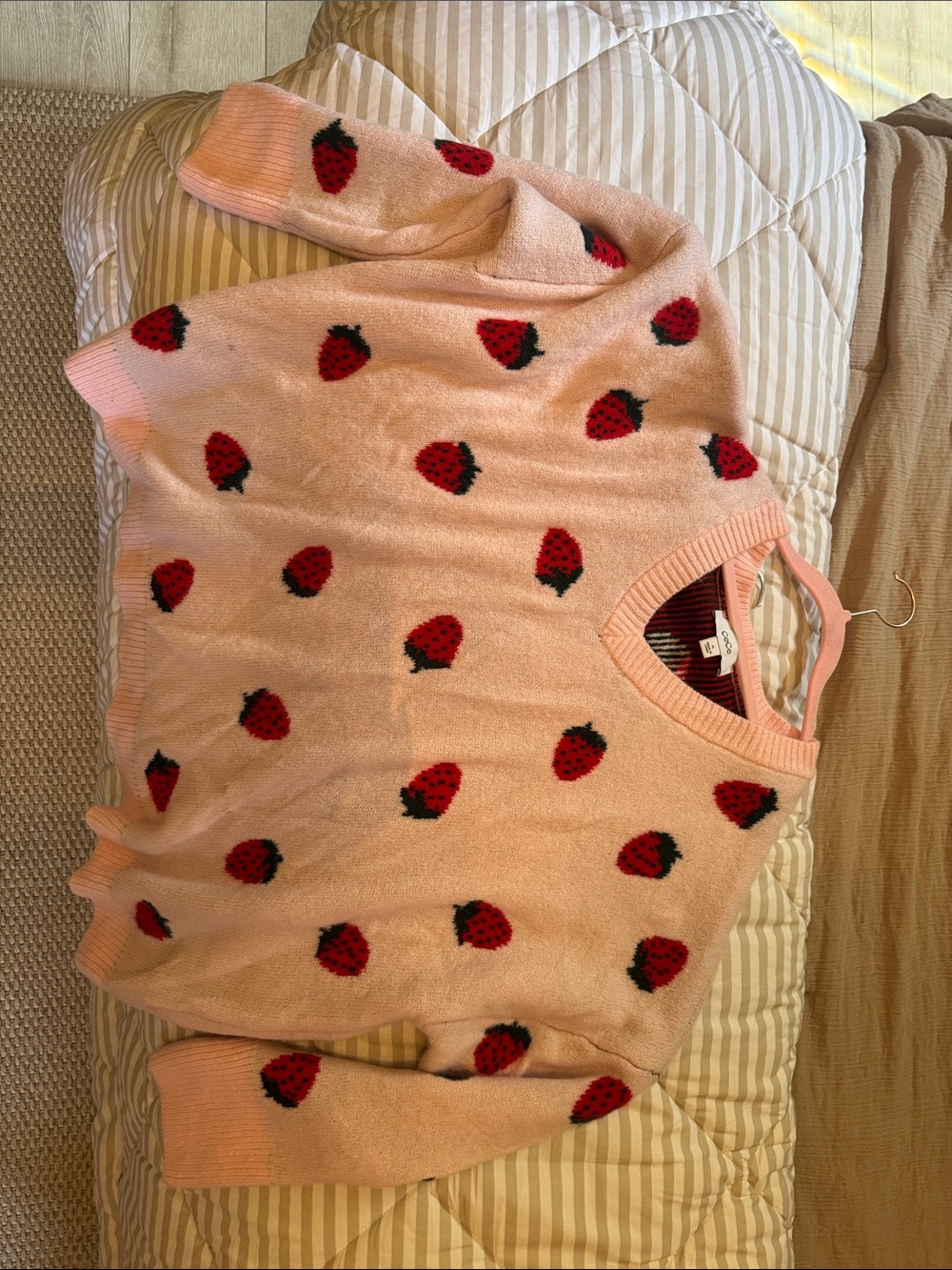 Pink Strawberry Print V-Neck Sweater